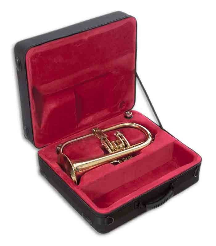 Photo of the John Packer Flugelhorn JP175 inside the case