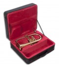 Photo of the John Packer Flugelhorn JP175 inside the case