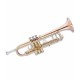 Photo of the John Packer Trumpet JP251SWR