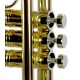 Photo of the John Packer Trumpet JP by Taylor pistons