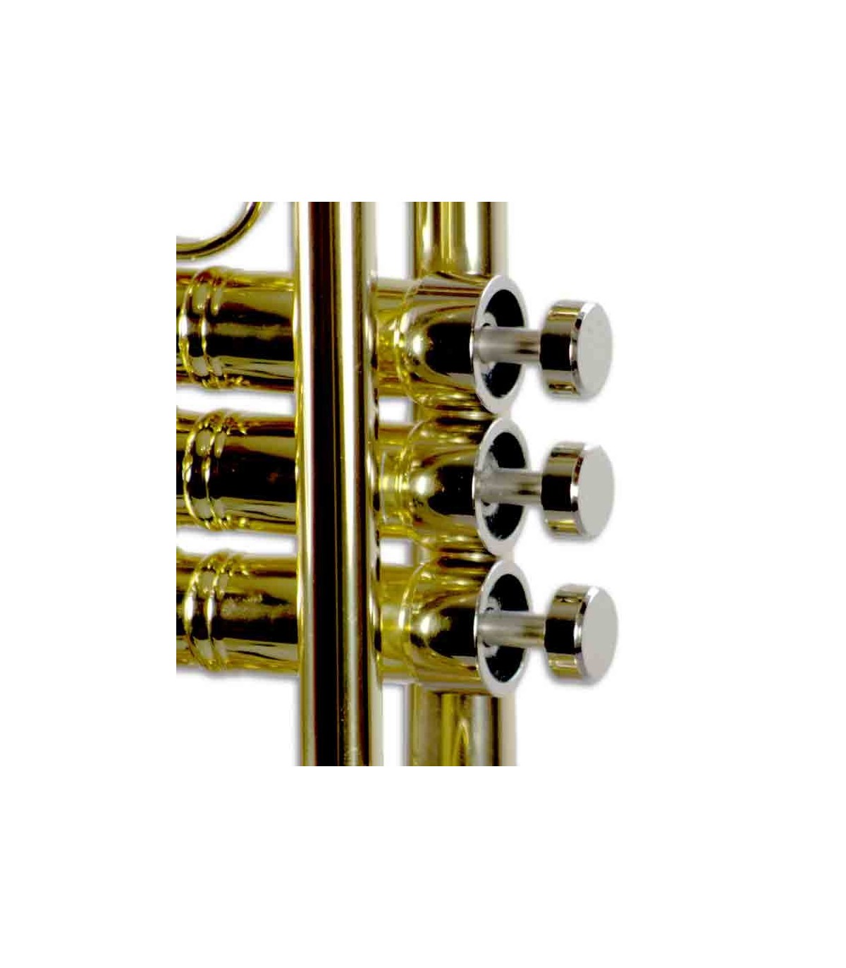Jp by online taylor trumpet