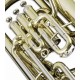 Photo of the John Packer Euphonium JP274 pistons