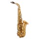 Photo of the John Packer Alto Saxophone JP045G