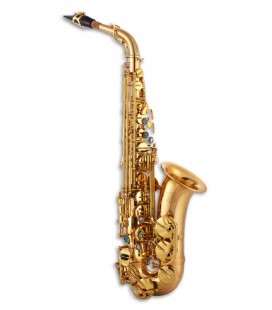 Saxofone Alto John Packer JP045G Mi Bemol Dourado com Estojo