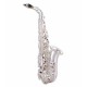 Foto do Saxofone Alto John Packer JP045S