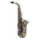 Photo of the John Packer Alto Saxophone JP045S