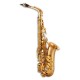 Photo of the John Packer Alto Saxophone JP245