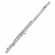 Photo of the John Packer Flute JP011