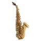 Photo of the John Packer Curved Soprano Saxophone JP043CG