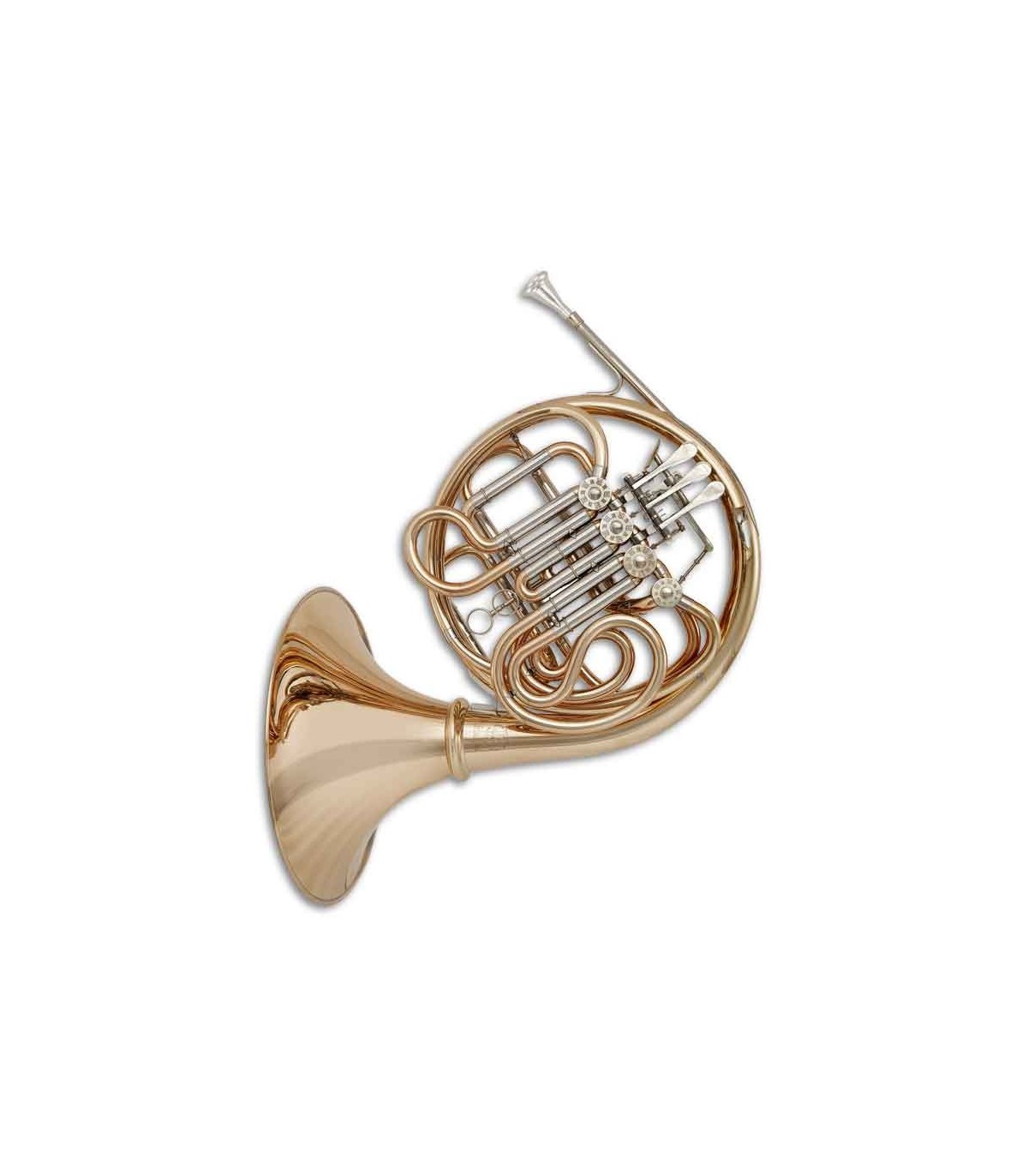 B flat discount french horn
