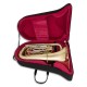 Foto da Tuba John Packer JP278 dentro do estojo