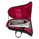 Foto de la Tuba John Packer JP278S dentro del estuche