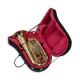 Photo of the John Packer Tuba JP379B Sterling inside the case