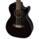 Cuerpo del bajo Fender Classic CB 60SCE