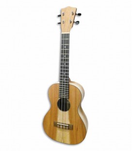 Ukelele Artimúsica Concerto Tradicional UK1CT