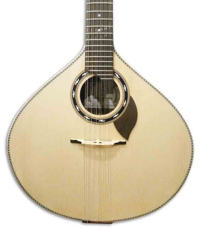 Corpo da guitarra portuguesa APC 310LS 