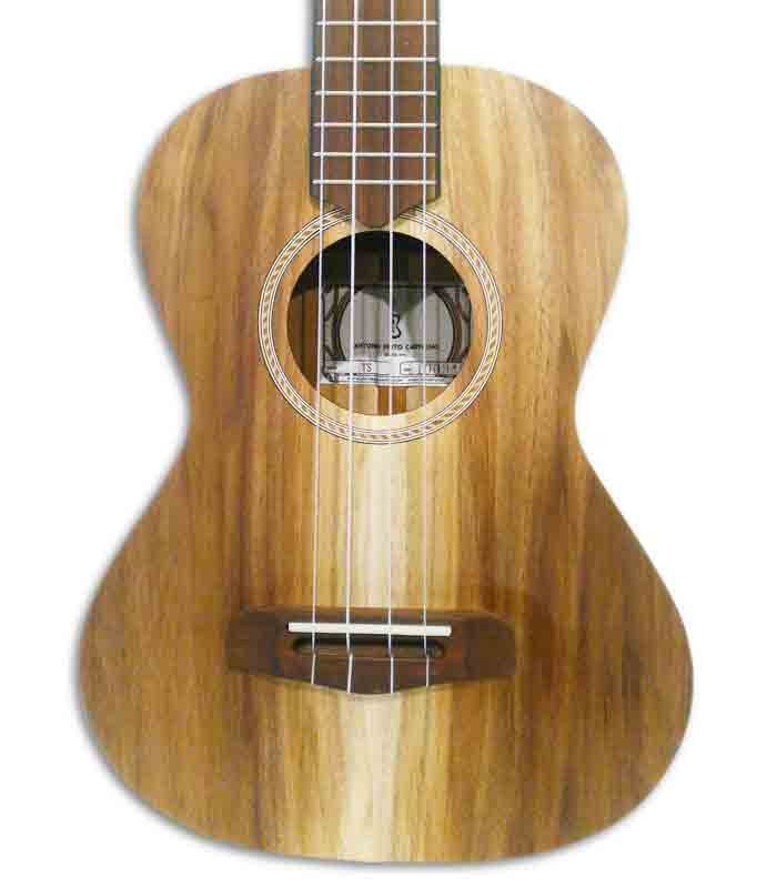 Ukulele APC TS body - frontal view