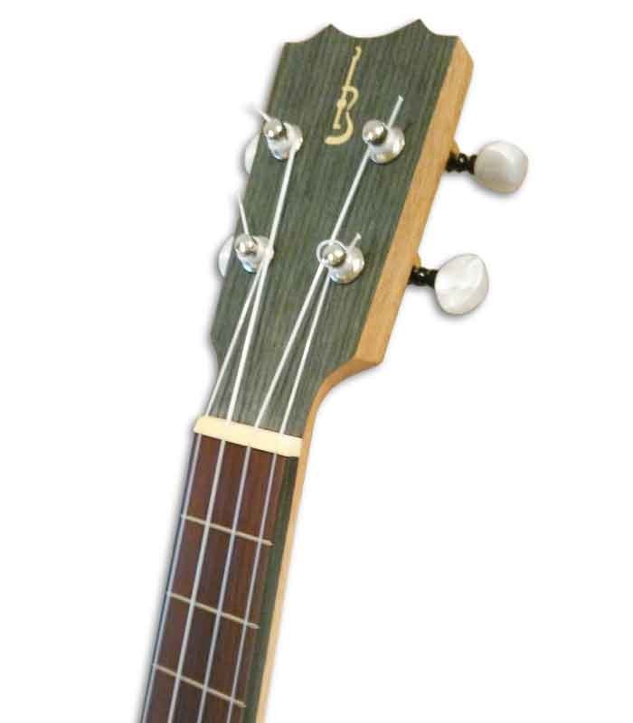 APC TS Ukulele cabeza