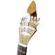APC Portuguese Guitar GFHPCB Coimbra Model Spruce Mahogany Hand Painted