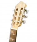 Cabeça da guitarra APC GC200 3/4