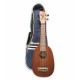 Foto del ukulele VGS Pineapple Manoa Kaleo con la funda 