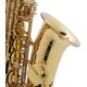 Saxofone Alto Selmer Axos Seles Mi Bemol Fá sustenido Agudo com Estojo