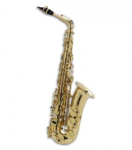 Saxofone Alto Selmer Axos Seles Mi Bemol Fá sustenido Agudo com Estojo