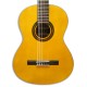 Corpo da guitarra VGS Student Natural