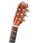 Cabeça da guitarra VGS Student Natural