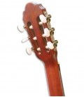 Carrilhões da guitarra VGS Student Natural