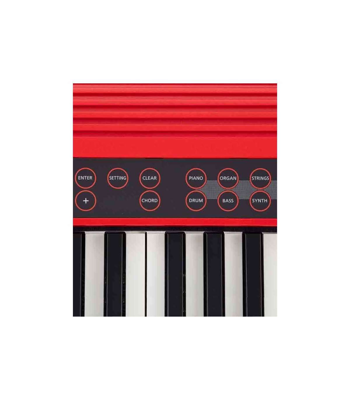 Roland Go Keys 61 Keyboard Salão Musical