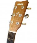 Head of guitar Yamaha F310 natural