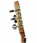 Pormenor dos carrilhões dourados de luxo da guitarra clássica Alhambra 9P CW E8