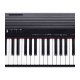 Botones del Roland Go Piano 88