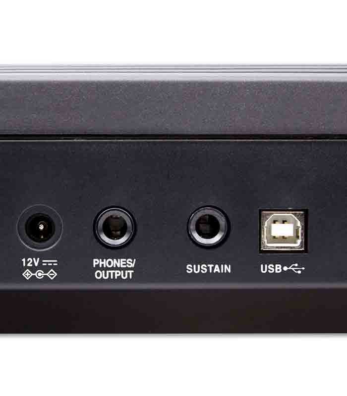 Entradas del  Roland Go Piano 88