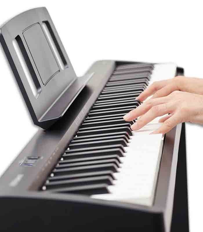 Pianos
digitais no Salão Musical