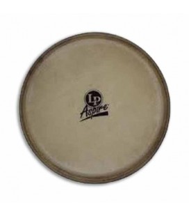 Photo of head LP640C