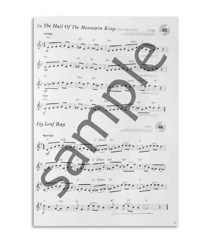 Book A New Tune a Day for Violin Perform Book CD MUSBM11781