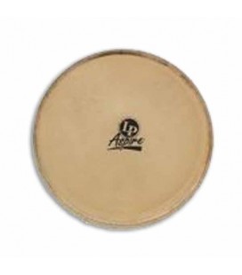 Head LP LP663B for Bongo Aspire 7