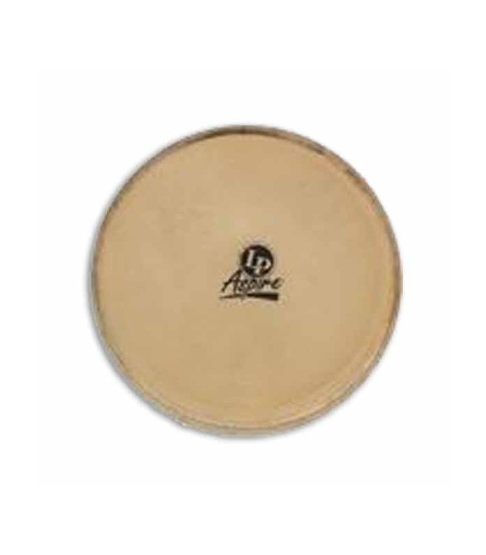 Head LP LP663B for Bongo Aspire 7