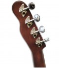 Ukulele Fender Soprano Venice Natural Walnut