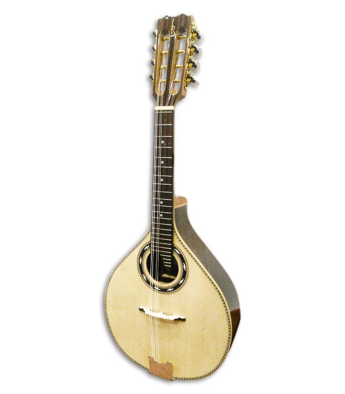 Photo 3/4 of mandolin APC MDL310 