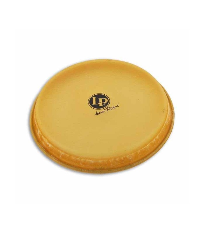 LP Head LP264A for Bongo Large