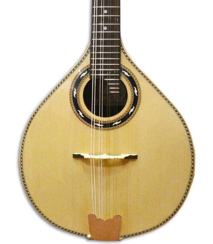 Body of mandolin APC MDL310 