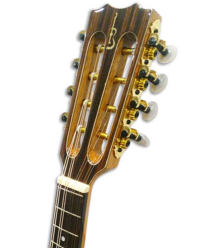 Head of mandolin APC MDL310 