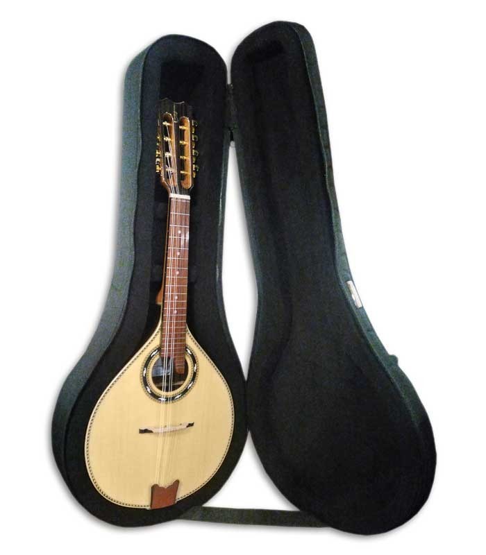 Photo of mandolin APC MDL310 inside the case 