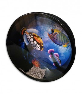 Foto de topo do Ocean Drum Honsuy 43670
