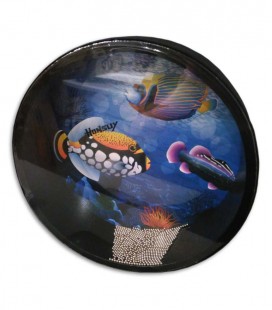 Ocean Drum Honsuy 43680 30cm