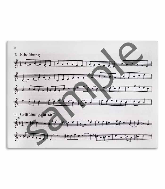 Livro Linden H M Tagliche Studien