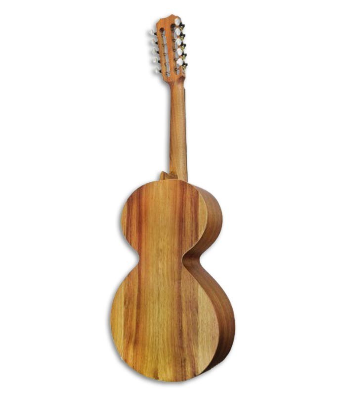 APC Viola Campaniça VTR CAM Round soundhole Simple